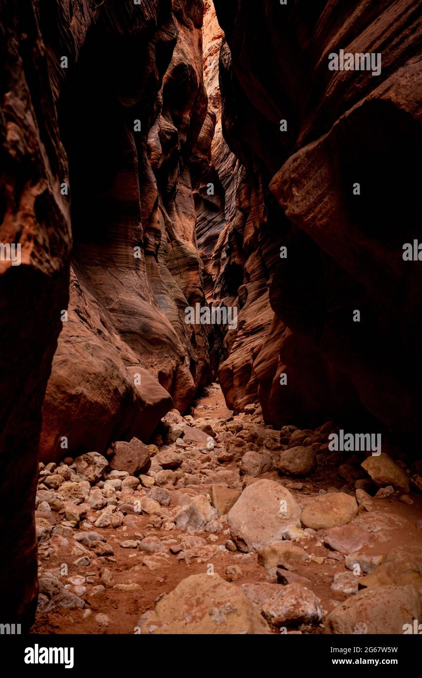 Felsiger Grund des Buckskin Gulch im Süden von Utah Stockfoto