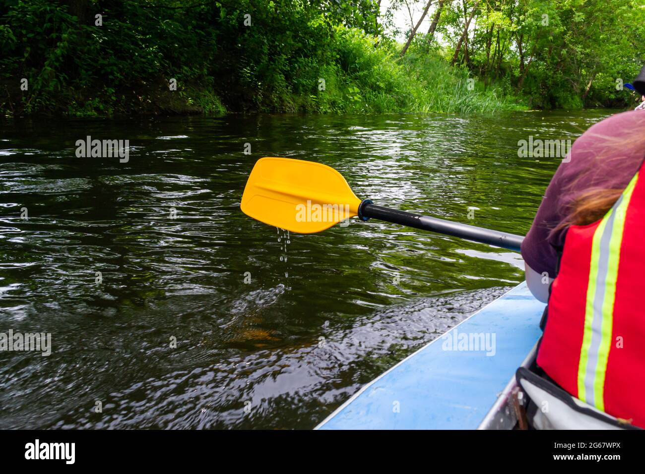 Ein Paddel zum gelben Rudern in den Händen eines Mädchens beim Kajakfahren auf dem Fluss Stockfoto