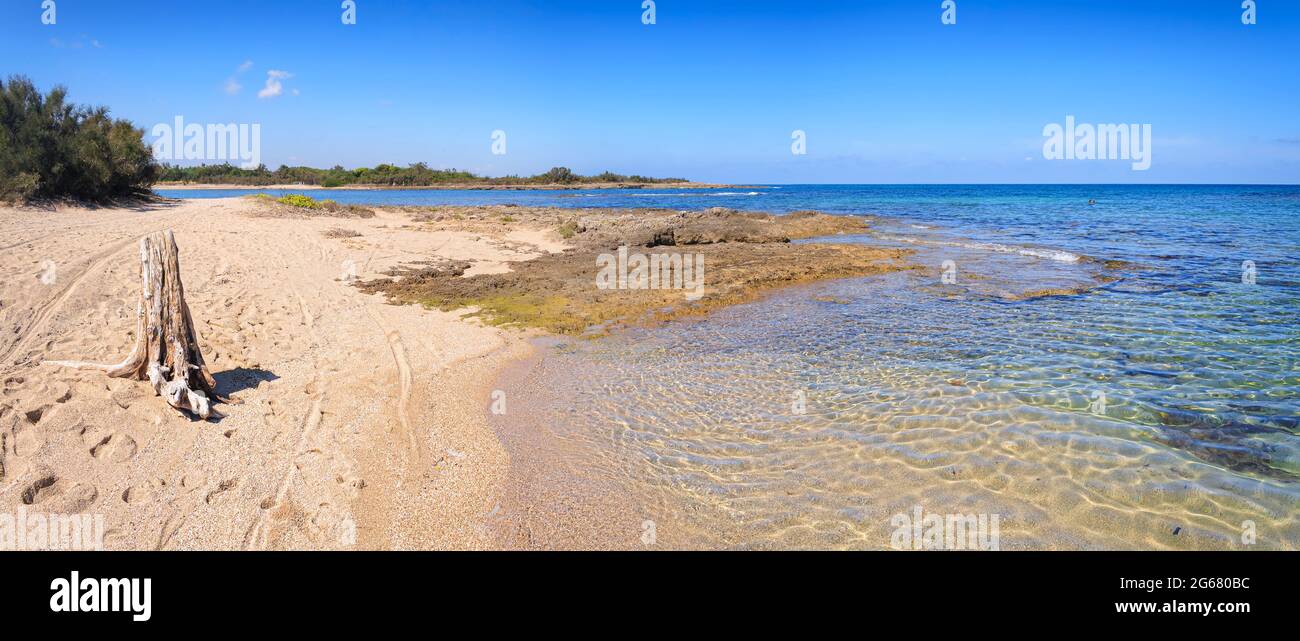 Strand von Apulia: Torre Guaceto Naturschutzgebiet in Italien. Blick auf die Küste und die Dünen mit mediterraner Macchia. Stockfoto