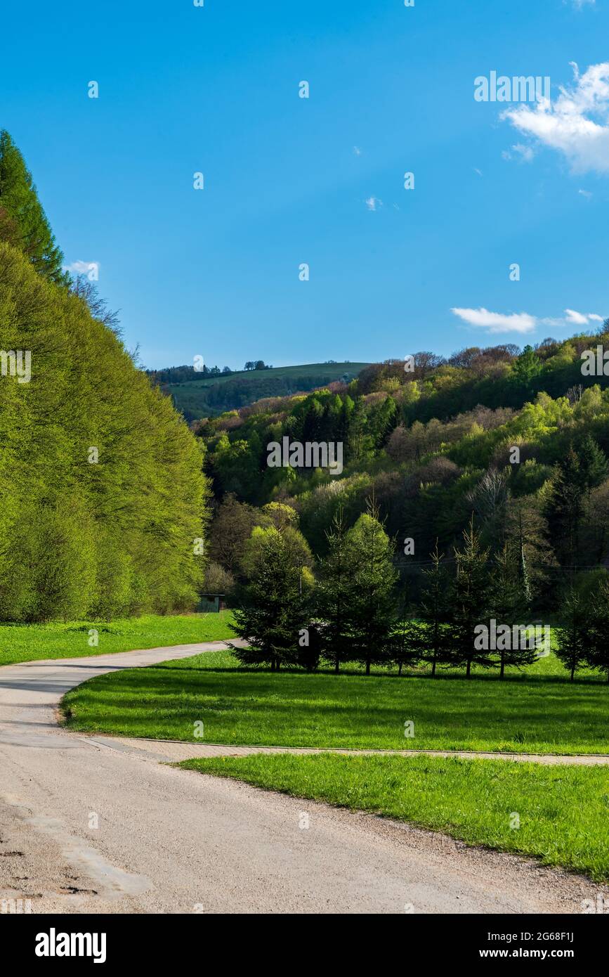 Schmale kurvige Straße mit Hügeln, die von Bäumen und Wiesen im Hintergrund bedeckt sind, während eines schönen Frühlingstages - Biele Karpaty Mountains in der Nähe von Drietoma Stockfoto