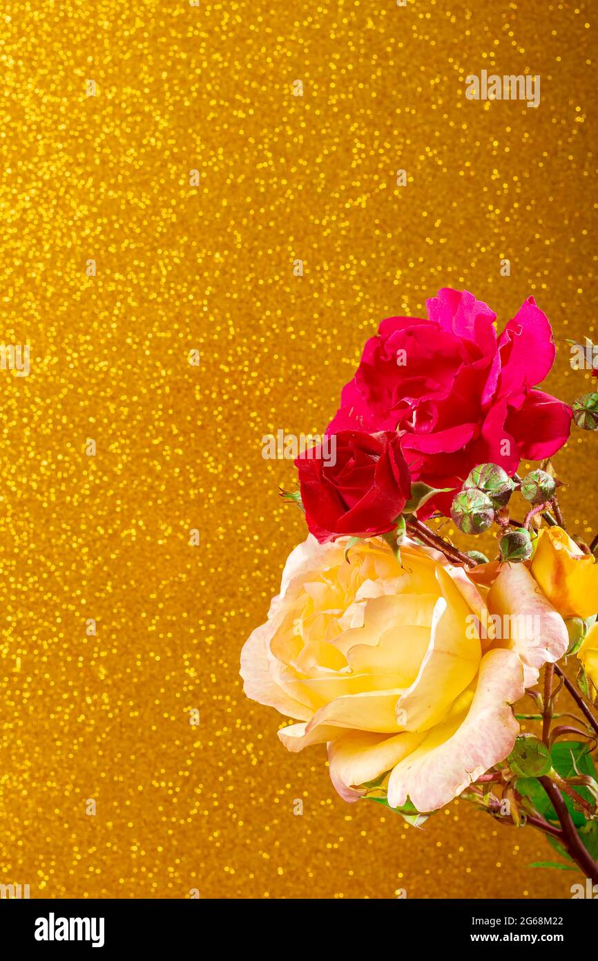 Foto von einigen schönen natürlichen roten und gelben Rosen auf einem texturierten goldfarbenen Hintergrund.die Fotografie hat Platz zum Kopieren, um ein Design zu unserem Liki zu machen Stockfoto