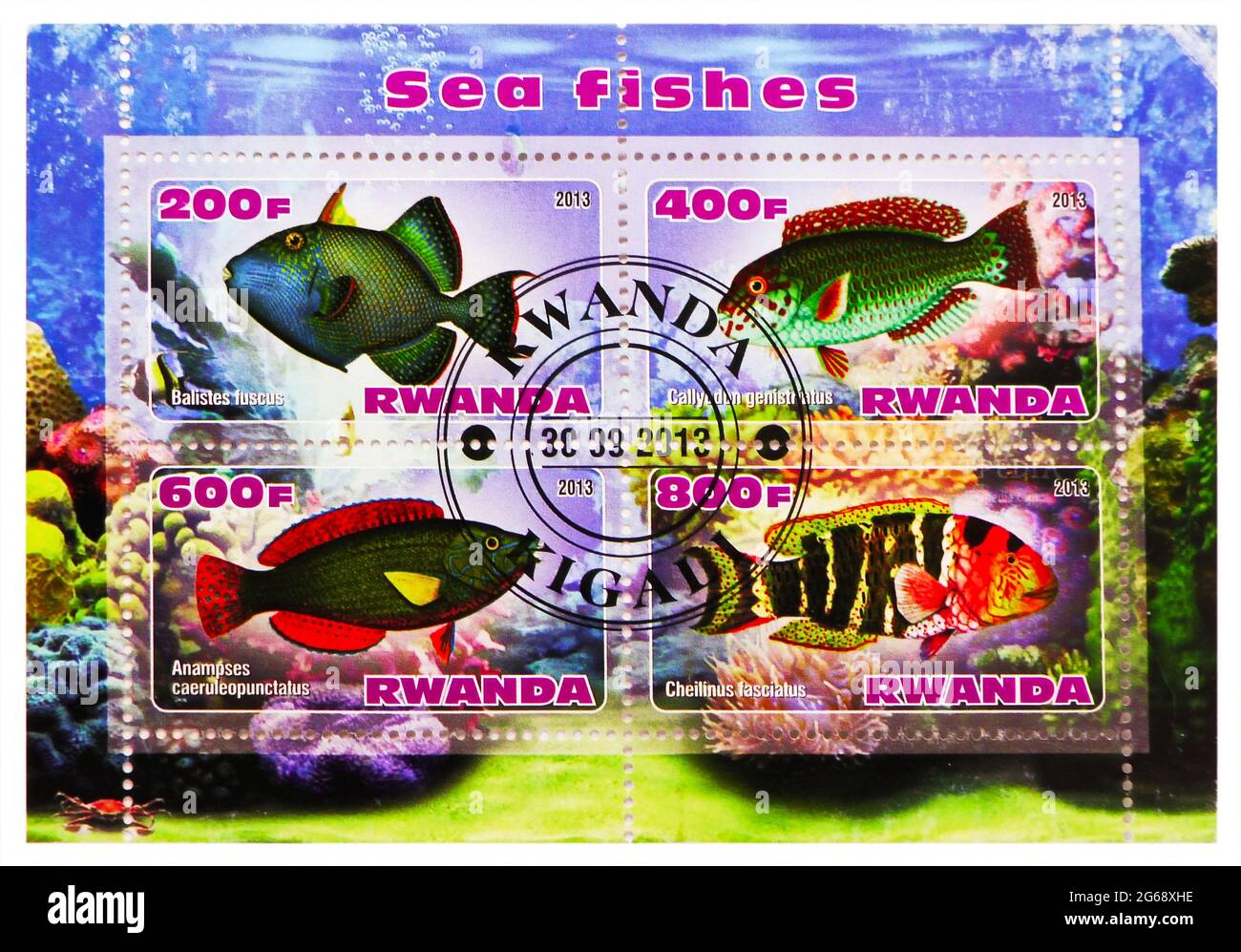 MOSKAU, RUSSLAND - 28. MÄRZ 2020: Vier Briefmarken, gedruckt in Ruanda, zeigen Seefishserie, um 2013 Stockfoto