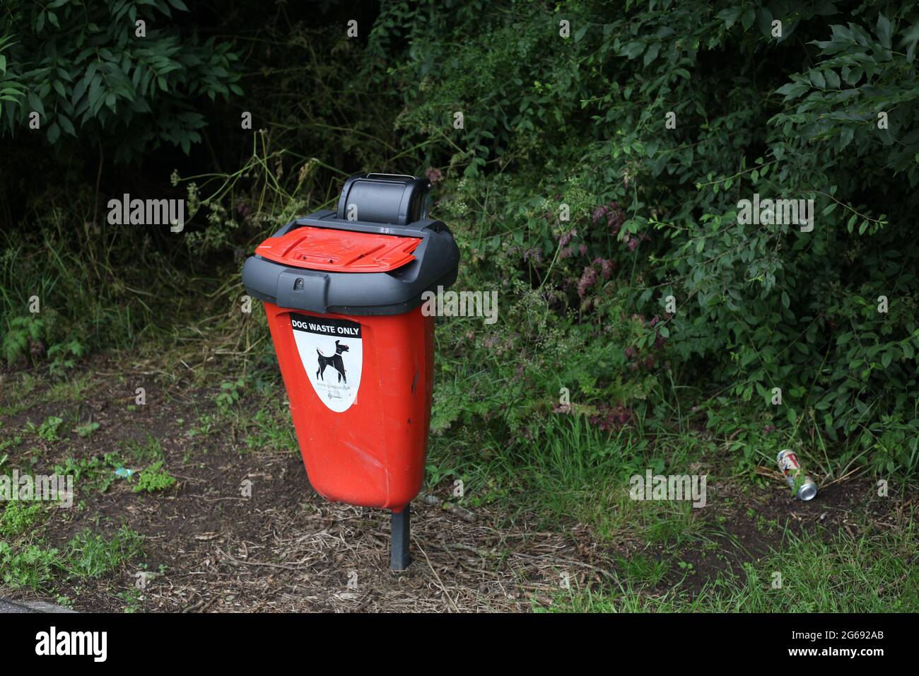 Nahaufnahme eines Abfallbehälters für rote Hunde in der Nähe eines lokalen Parks Stockfoto