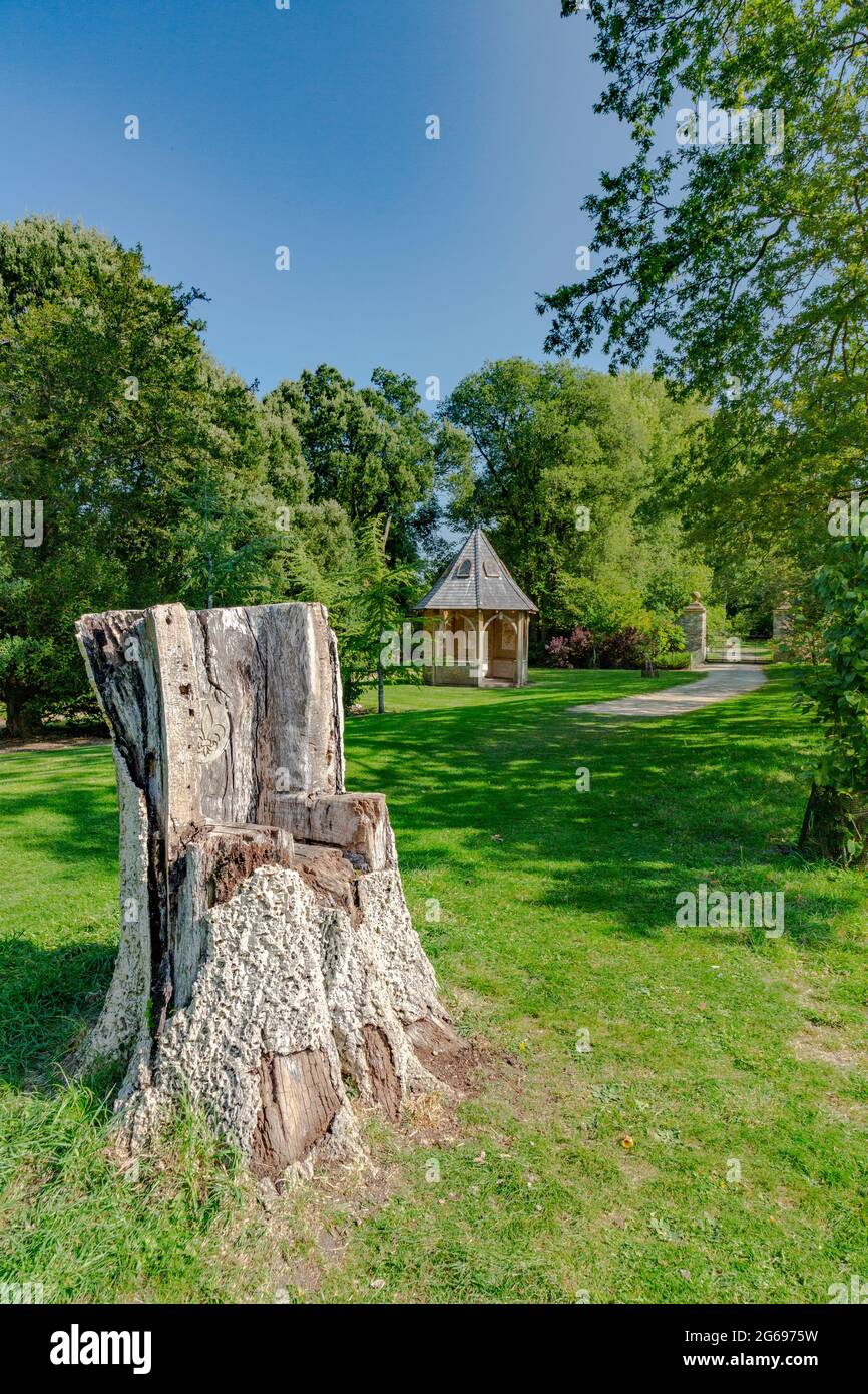 Der Stumpf einer ehemaligen Korkeiche wurde in einen Sitz auf dem Gelände von Sherborne Castle, Dorset, England, Großbritannien, gehauen Stockfoto