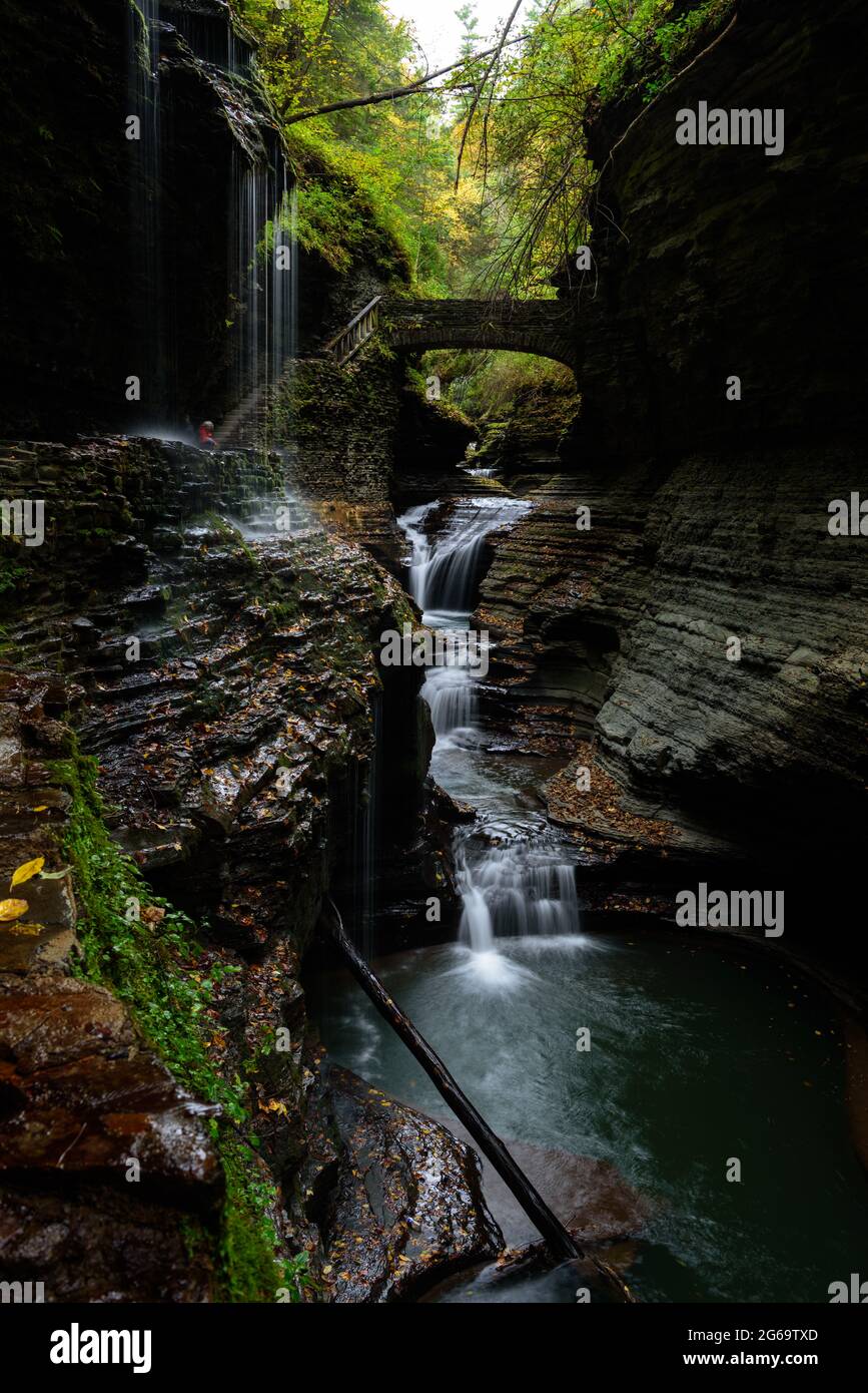 Wasserfall im Watkin glenn State Park Stockfoto