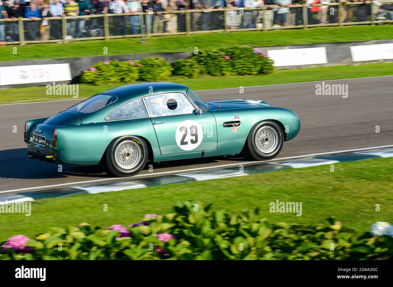 Aston Martin DB4GT Classic, Oldtimer-Rennwagen, der bei der RAC Tourist Trophy beim historischen Goodwood Revival Event in Großbritannien teilnimmt. Vern Schuppan fährt Stockfoto