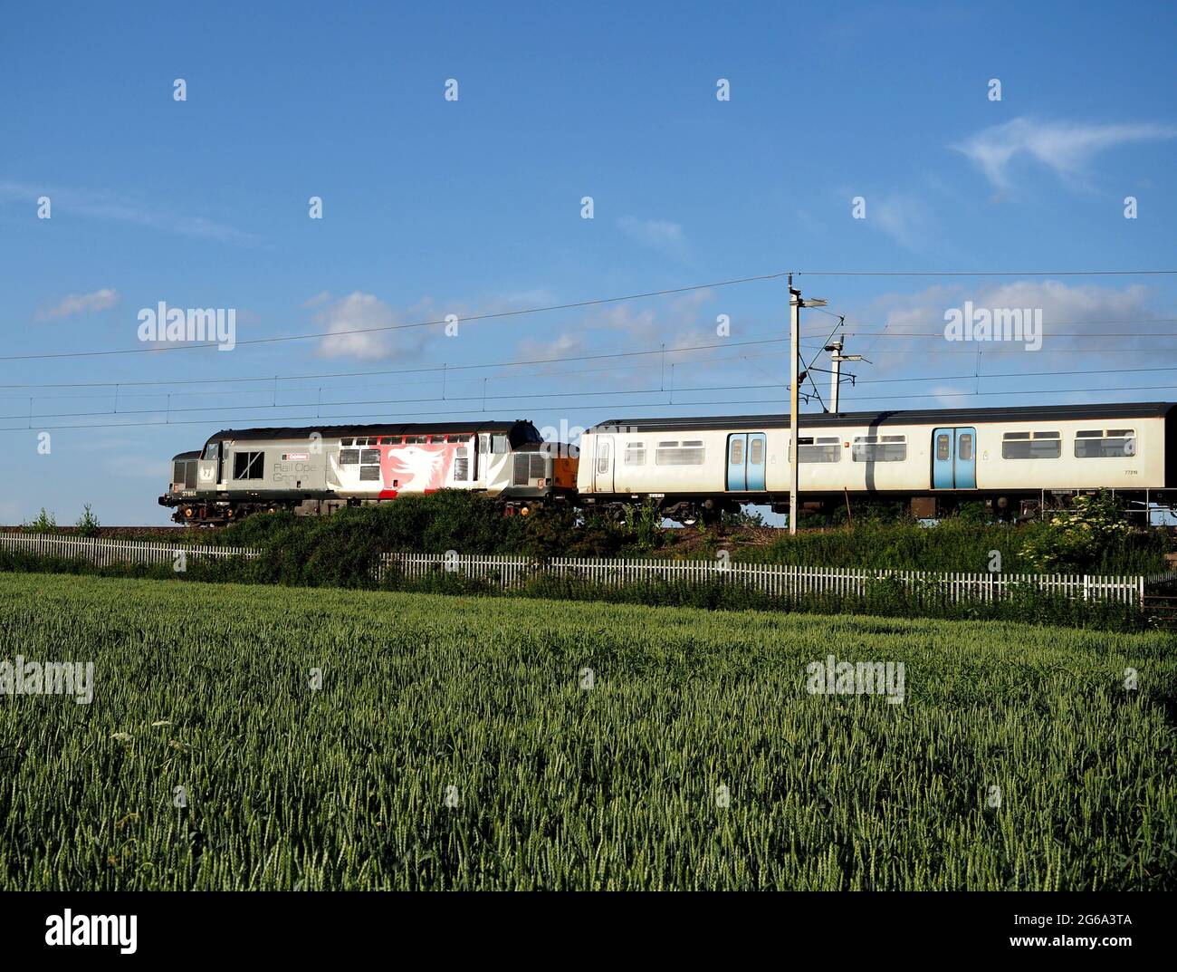 Europhenix Rail Operations Group die Lokomotive der Klasse 37 37884 „Cepheus“ passiert Northampton auf der Westküsten-Hauptlinie und schleppt eine Klasse 319 EMU Stockfoto