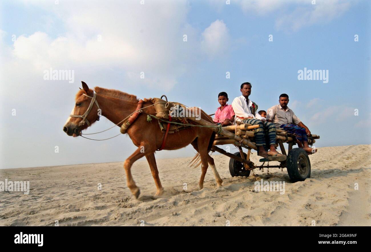 Pferdekutschen mit Reifenrädern sind hier die einzige Transportart, da die Gleise auf dem Sandbett neben dem Fluss Jamuna nicht für andere Fahrzeuge geeignet sind. Bogra, Bangladesch. 11. April 2008. Stockfoto