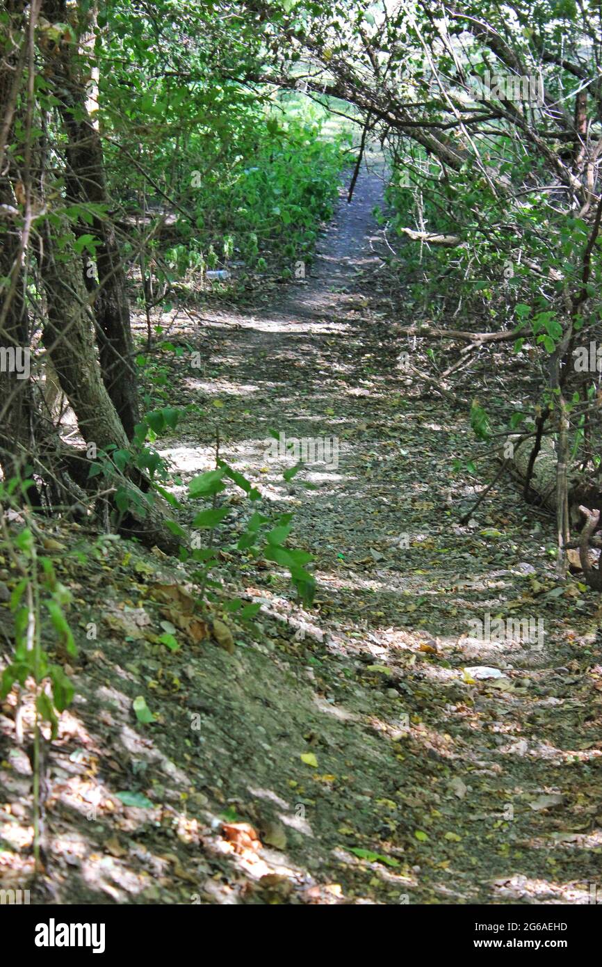 Wanderweg und Wanderweg an einem sonnigen Tag im Park. Stockfoto