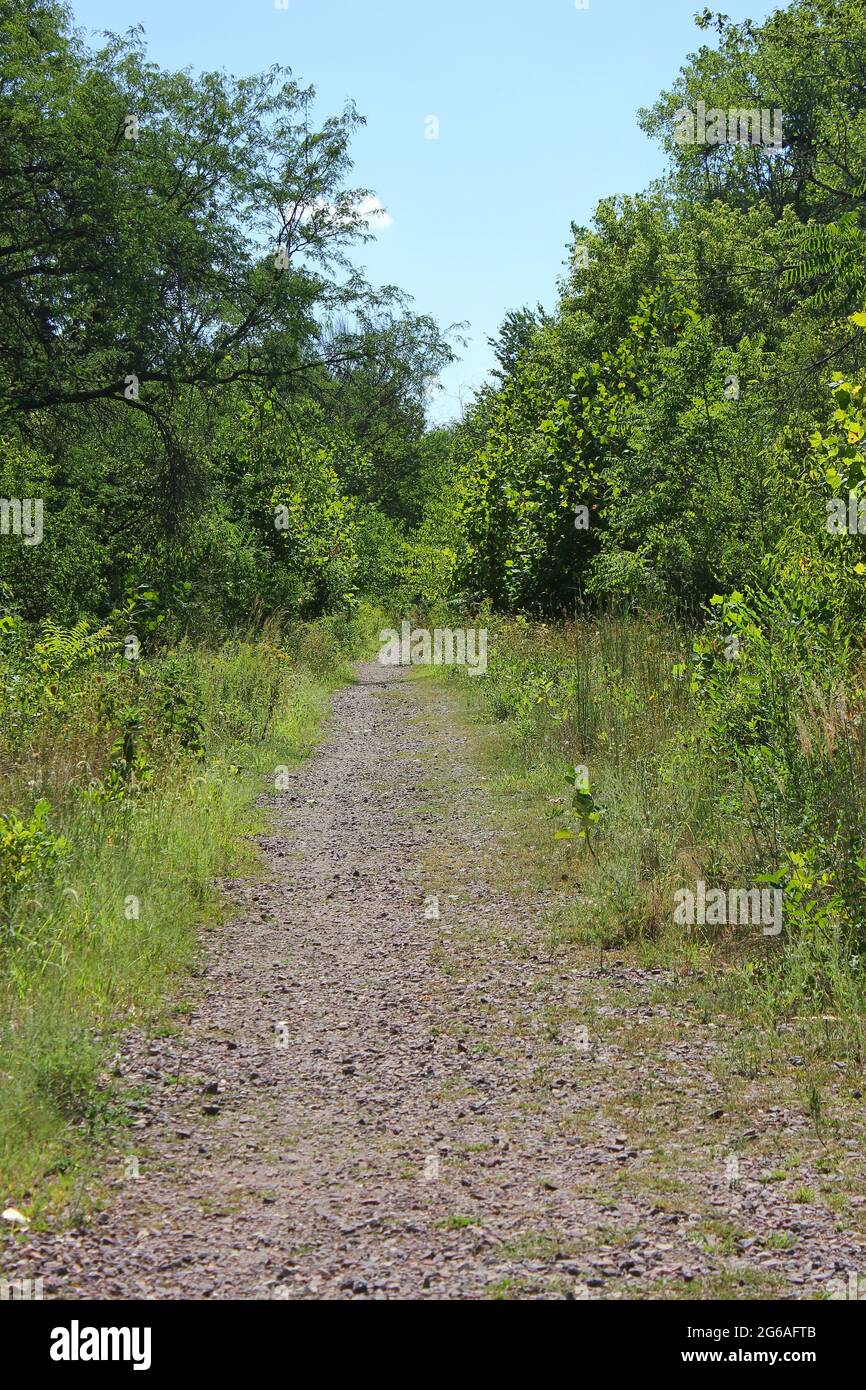 Wanderweg und Wanderweg an einem sonnigen Tag im Park. Stockfoto