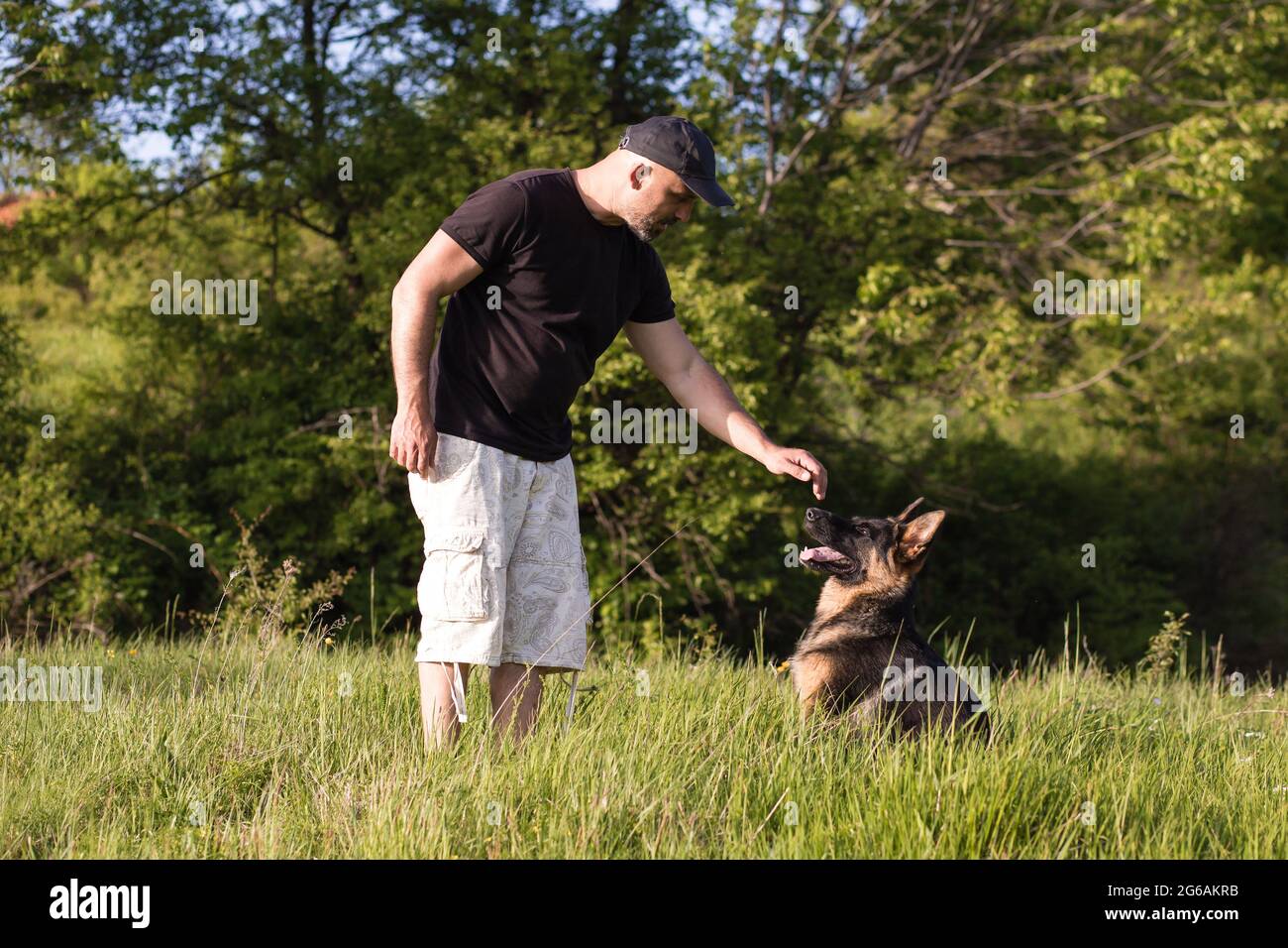 Besitzer spielt mit seinem Schäferhund, draußen in der Natur Stockfoto
