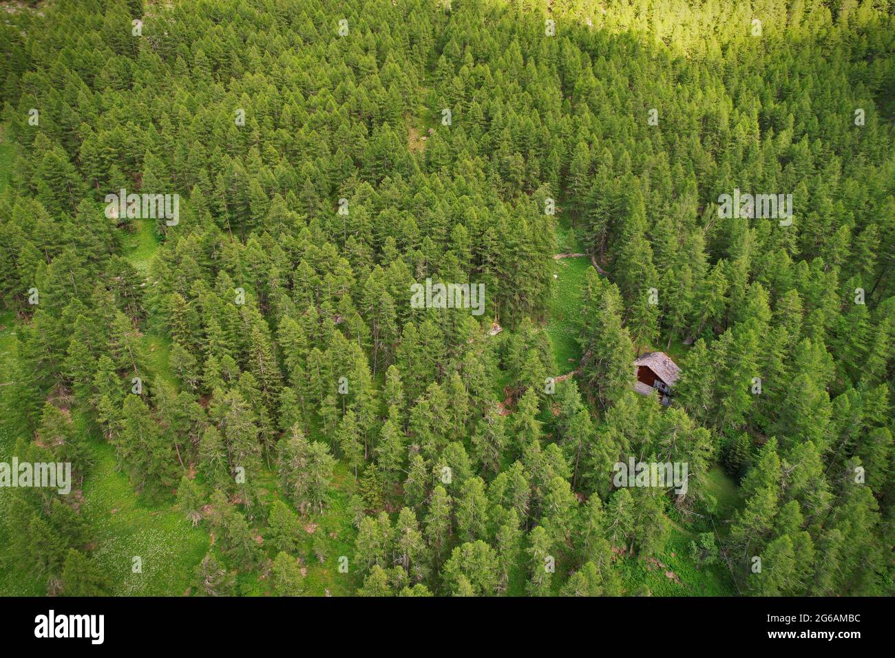 Eine einsame Berghütte im Wald von oben gesehen Stockfoto