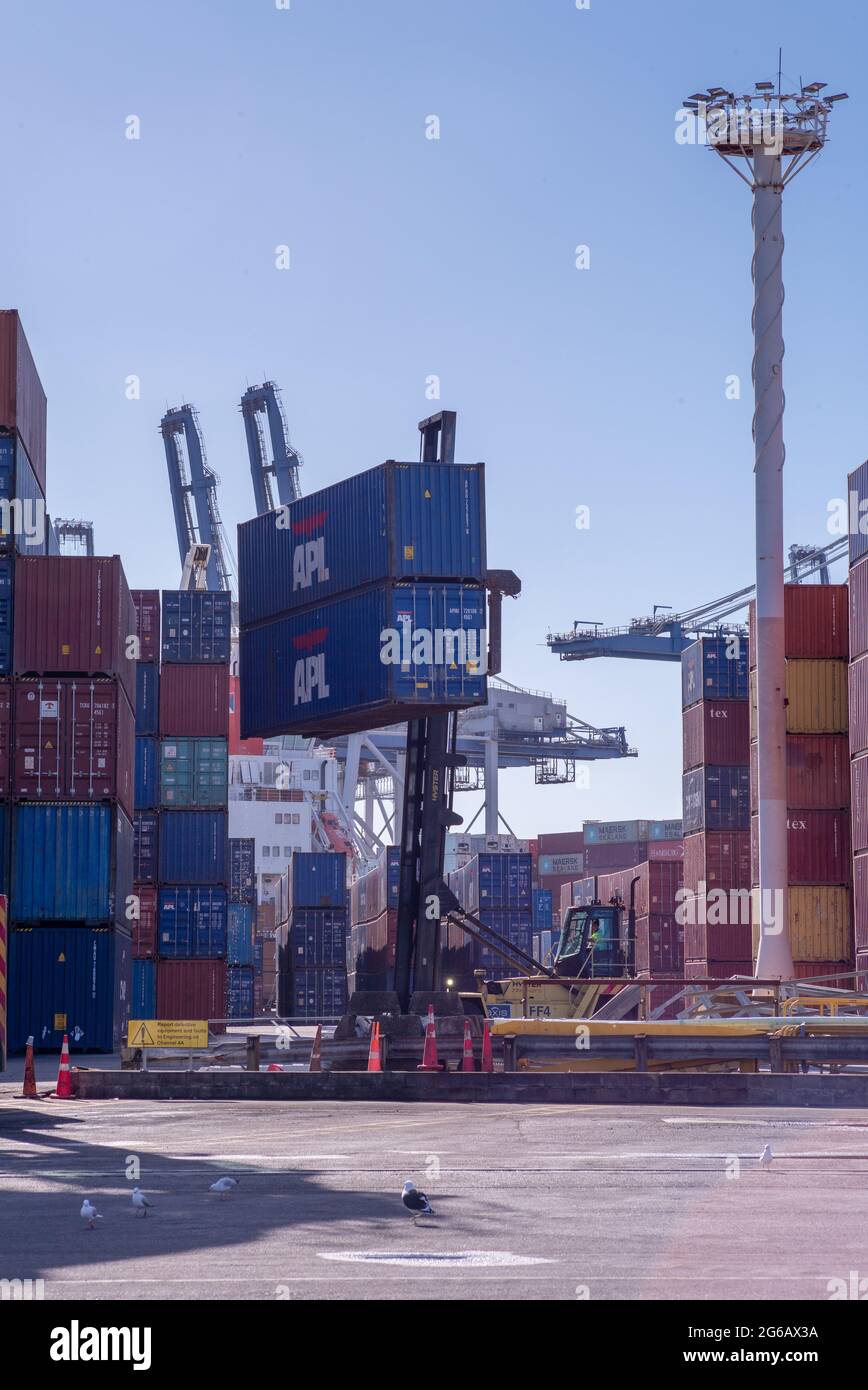Ein Containerkran hebt Container an, um sie in den Containerstapel von Ports of Auckland, Neuseeland, einzulagern. Stockfoto