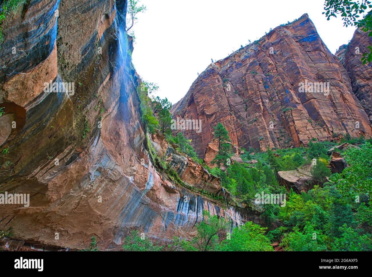 Der Zion National Park umfasst Berge, Flüsse, Schluchten und natürliche Bögen. Die Wände der Schlucht sind rötlich-bräunlicher Navajo-Sandstein. Utah, USA. Stockfoto