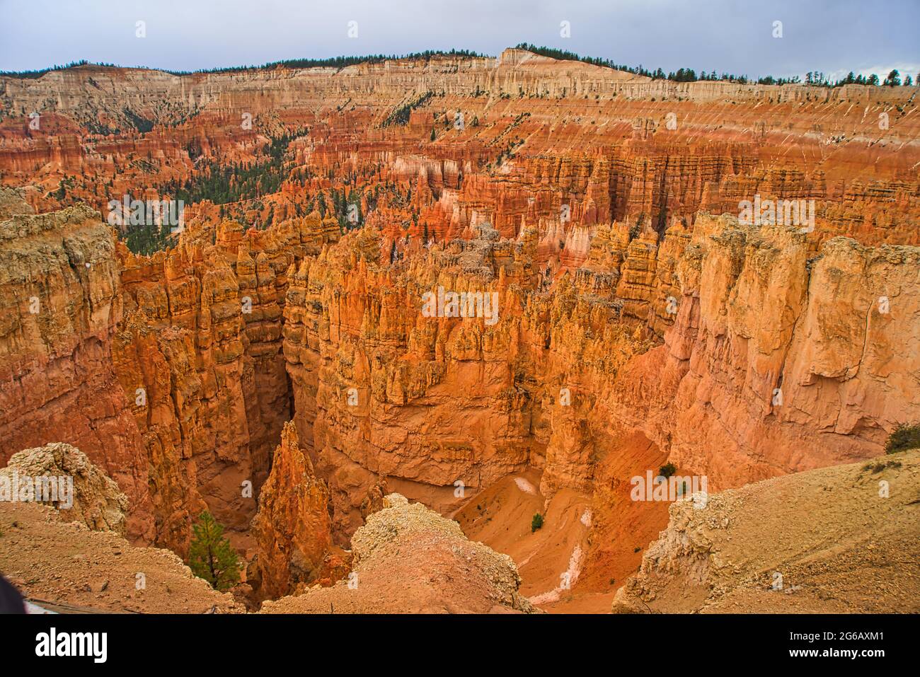 Der Zion National Park umfasst Berge, Flüsse, Schluchten und natürliche Bögen. Die Wände der Schlucht sind rötlich-bräunlicher Navajo-Sandstein. Utah, USA. Stockfoto