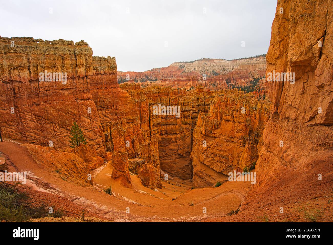 Der Zion National Park umfasst Berge, Flüsse, Schluchten und natürliche Bögen. Die Wände der Schlucht sind rötlich-bräunlicher Navajo-Sandstein. Utah, USA. Stockfoto