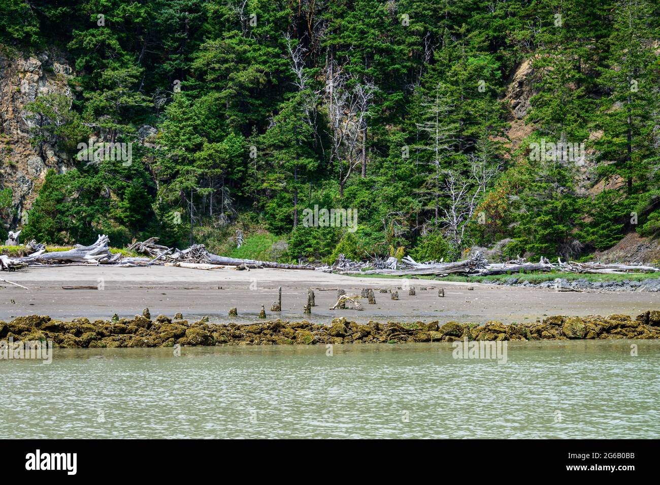 Ziegeninsel auf den San Juan Inseln, wunderschöne Bäume und Küste als Naturhintergrund Stockfoto