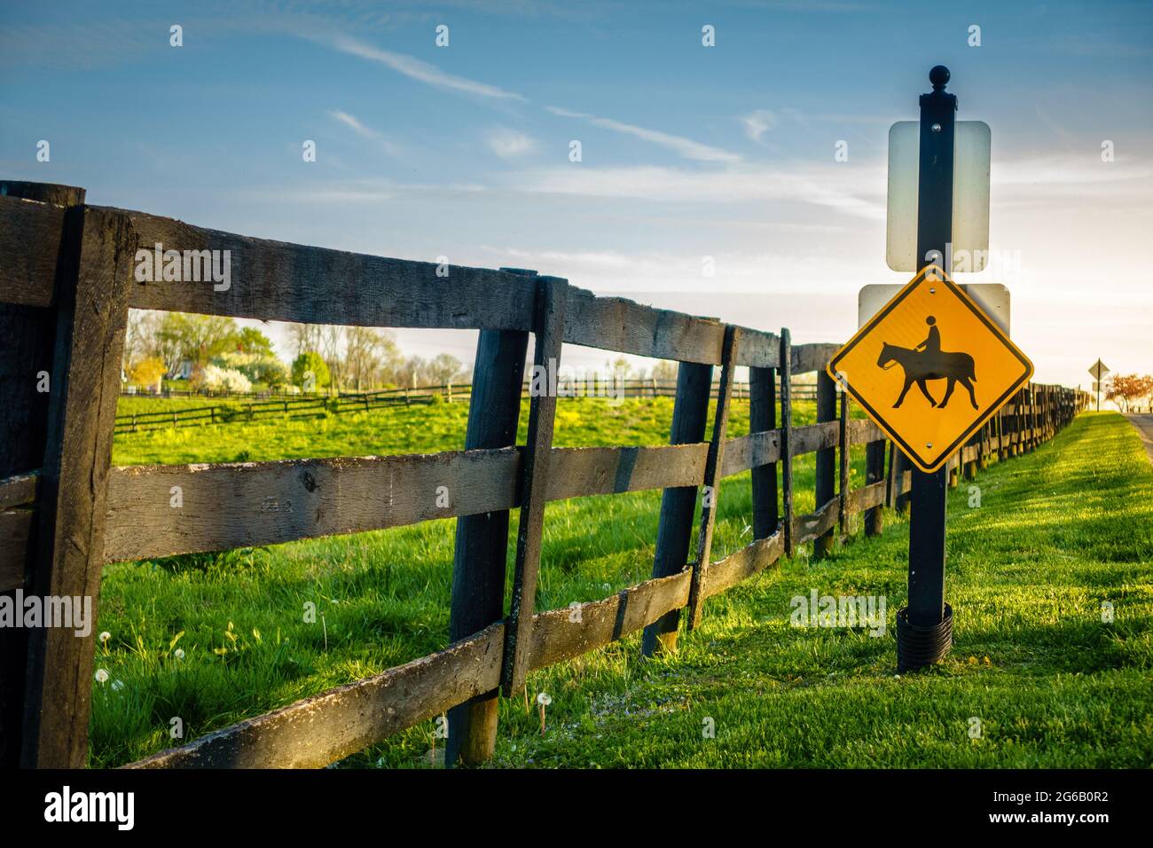 Pferdekreuzung Straßenschild an einer Pferdefarm in Central Kentucky Stockfoto