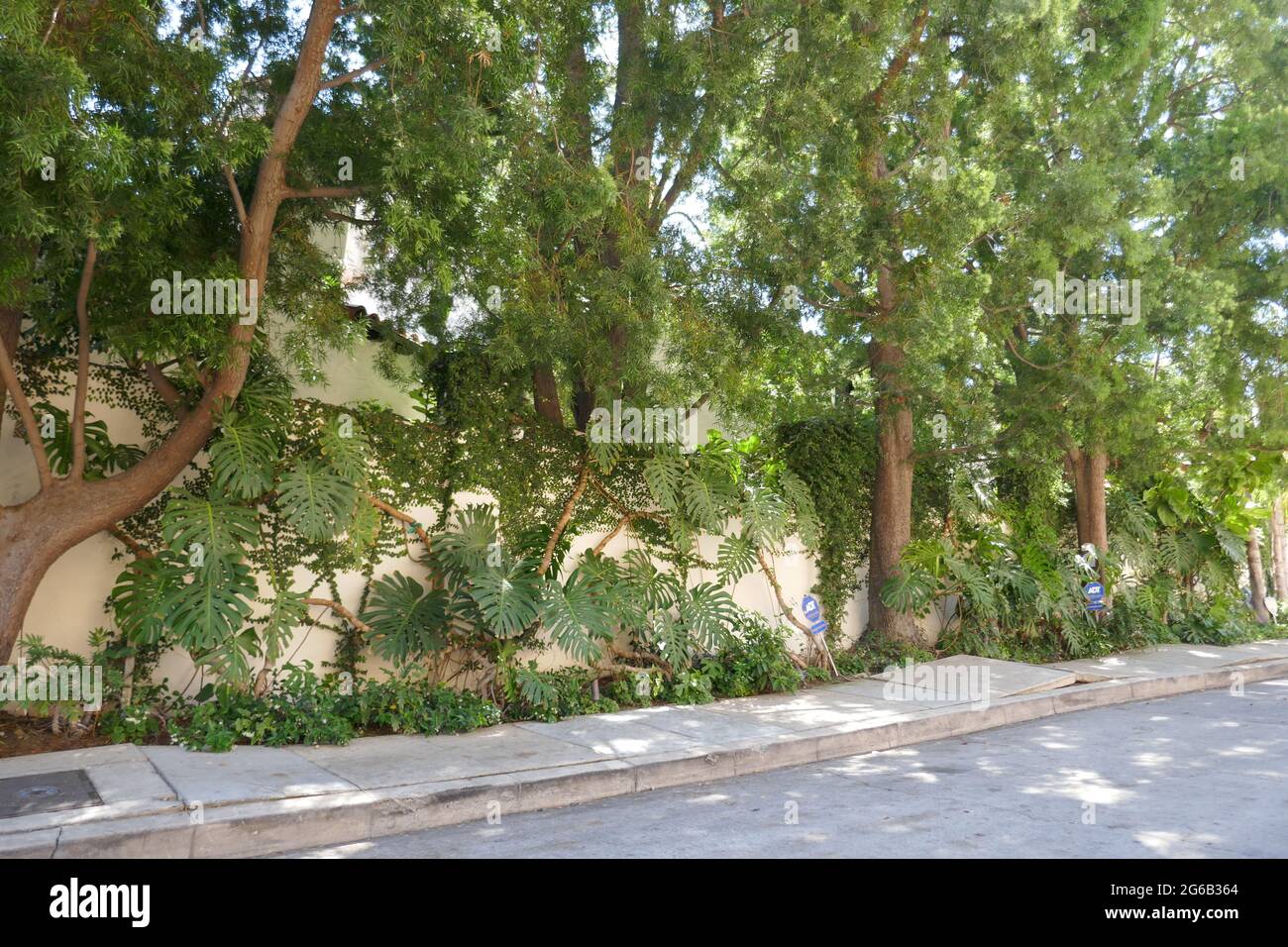 Los Angeles, Kalifornien, USA 4. Juli 2021 EIN allgemeiner Blick auf die Atmosphäre von Ida Lupinos früherem Haus/Haus in Hollywood Hills am 4. Juli 2021 in Los Angeles, Kalifornien, USA. Foto von Barry King/Alamy Stockfoto Stockfoto