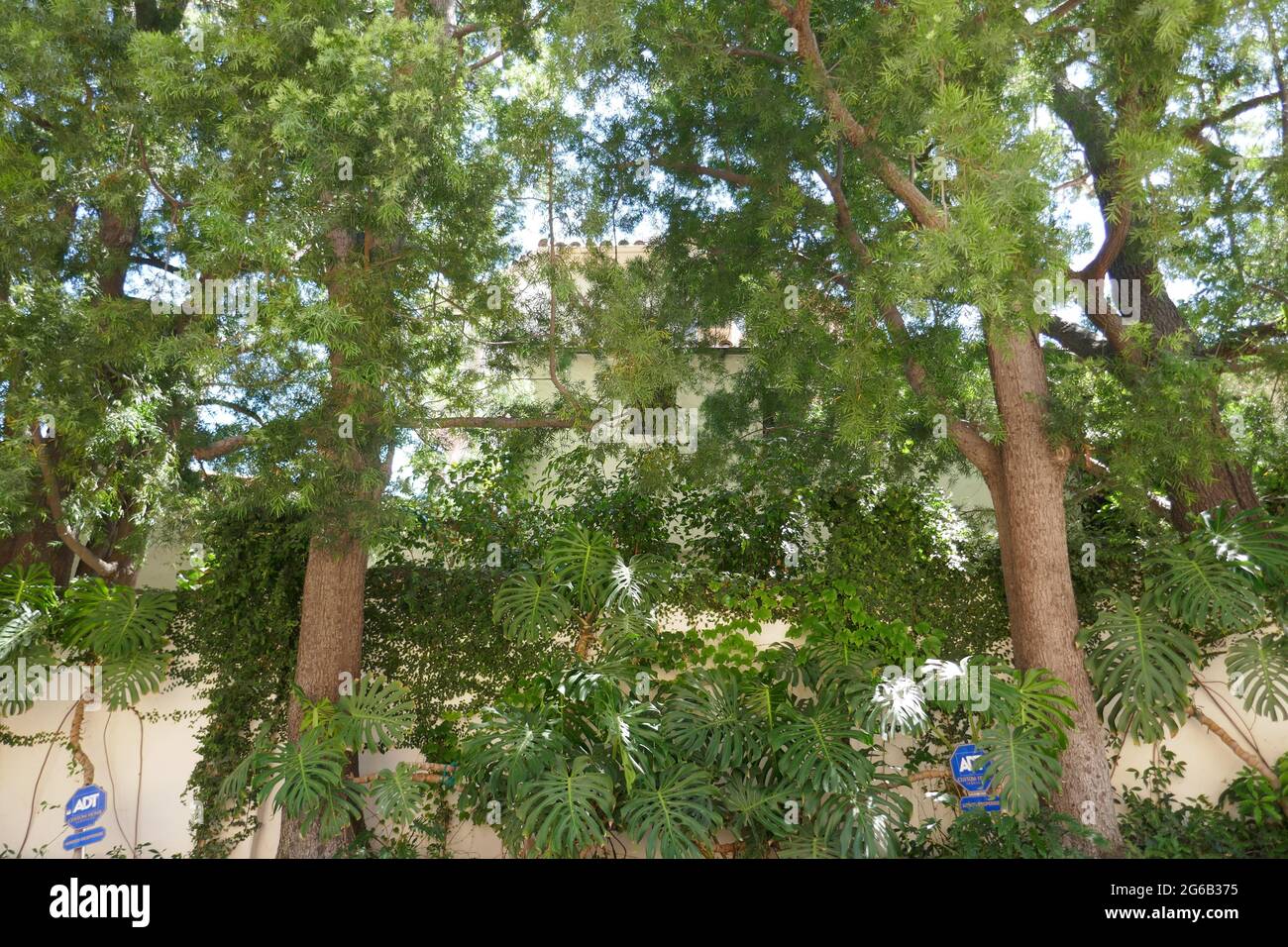 Los Angeles, Kalifornien, USA 4. Juli 2021 EIN allgemeiner Blick auf die Atmosphäre von Ida Lupinos früherem Haus/Haus in Hollywood Hills am 4. Juli 2021 in Los Angeles, Kalifornien, USA. Foto von Barry King/Alamy Stockfoto Stockfoto