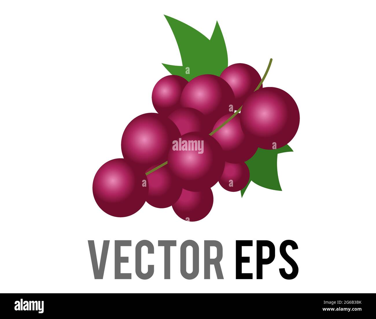 Der isolierte Vektor Frucht Gradient lila Traubenbündel Symbol, wie aus der Rebe geschnitten und verwendet, um Wein zu machen Stock Vektor