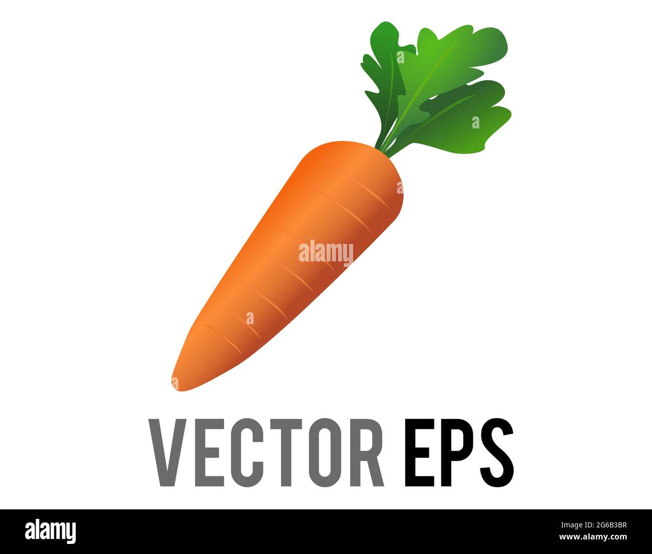 Das isolierte Vektor ganze leuchtend orange Karotten-Symbol, gekrönt mit langen grünen Blättern, als ob frisch aus dem Garten gezupft Stock Vektor