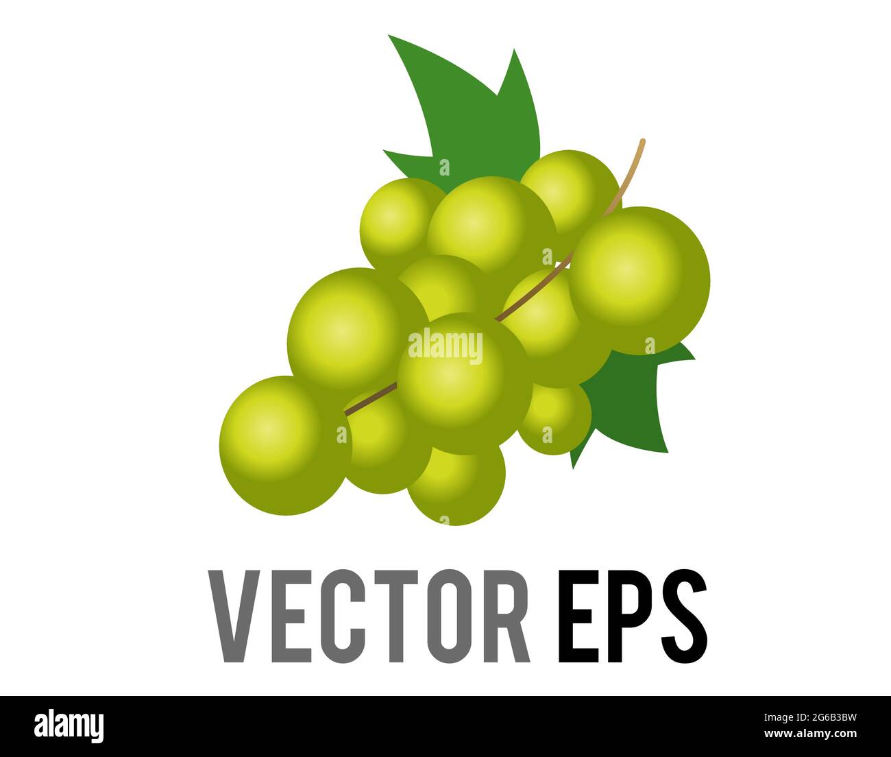 Die isolierte Vektor-Frucht Gradient grünen Traubenhaufen Symbol, wie aus der Rebe geschnitten und verwendet, um Wein zu machen Stock Vektor
