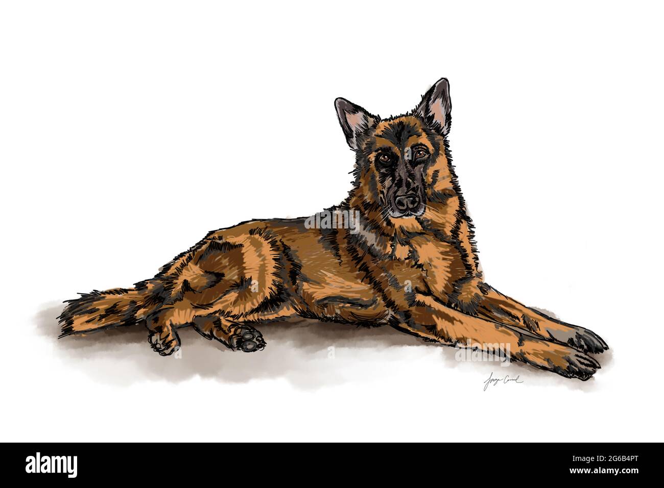 Deutscher Schäferhund isoliert auf weißem Hintergrund. Handgezeichnete digitale Illustration Stockfoto