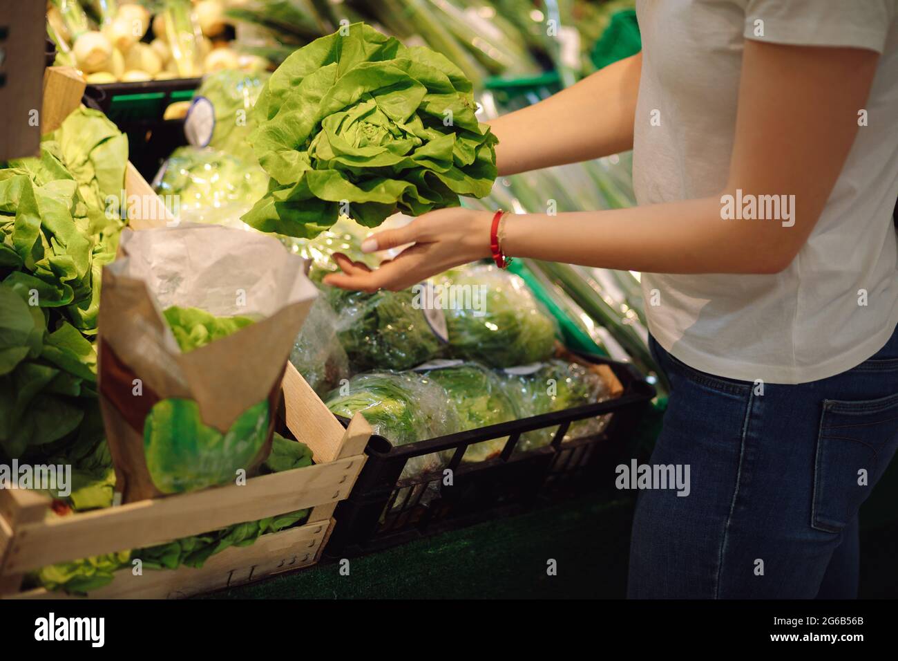 Eine junge Frau mit schönen, gepflegten Händen packt die Arme voller Salat, die in der Grünabteilung stehen. Bio-Lebensmittel und Vitamine. Richtige Ernährung Stockfoto