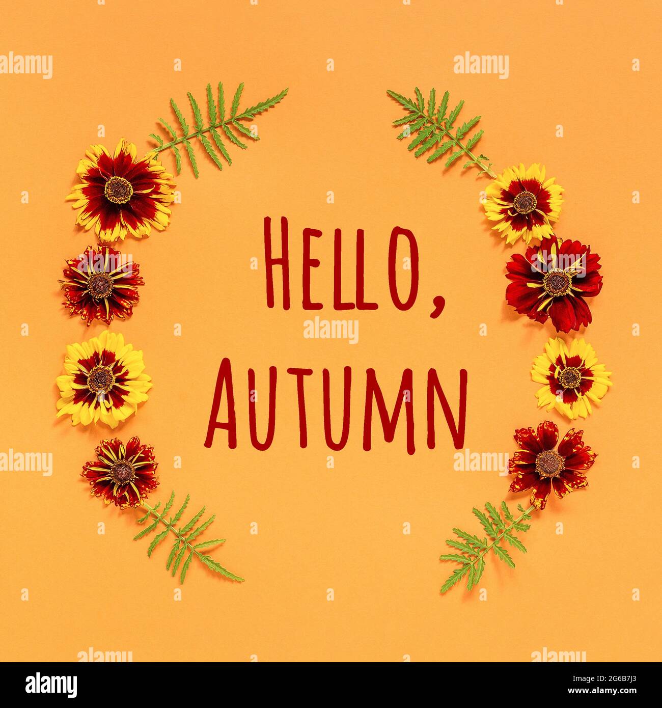 Hallo Herbst Text und Rahmen aus gelb roten Blüten auf orangefarbenem Hintergrund. Draufsicht Einladungskarte mit flacher Lay-Grußkarte. Stockfoto