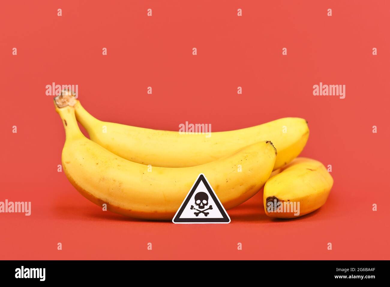 Konzept für ungesunde oder toxische Substanzen in Lebensmitteln wie Pestizidrückstände mit Schädelwarnschild vor Bananenfrüchten auf rotem Hintergrund Stockfoto