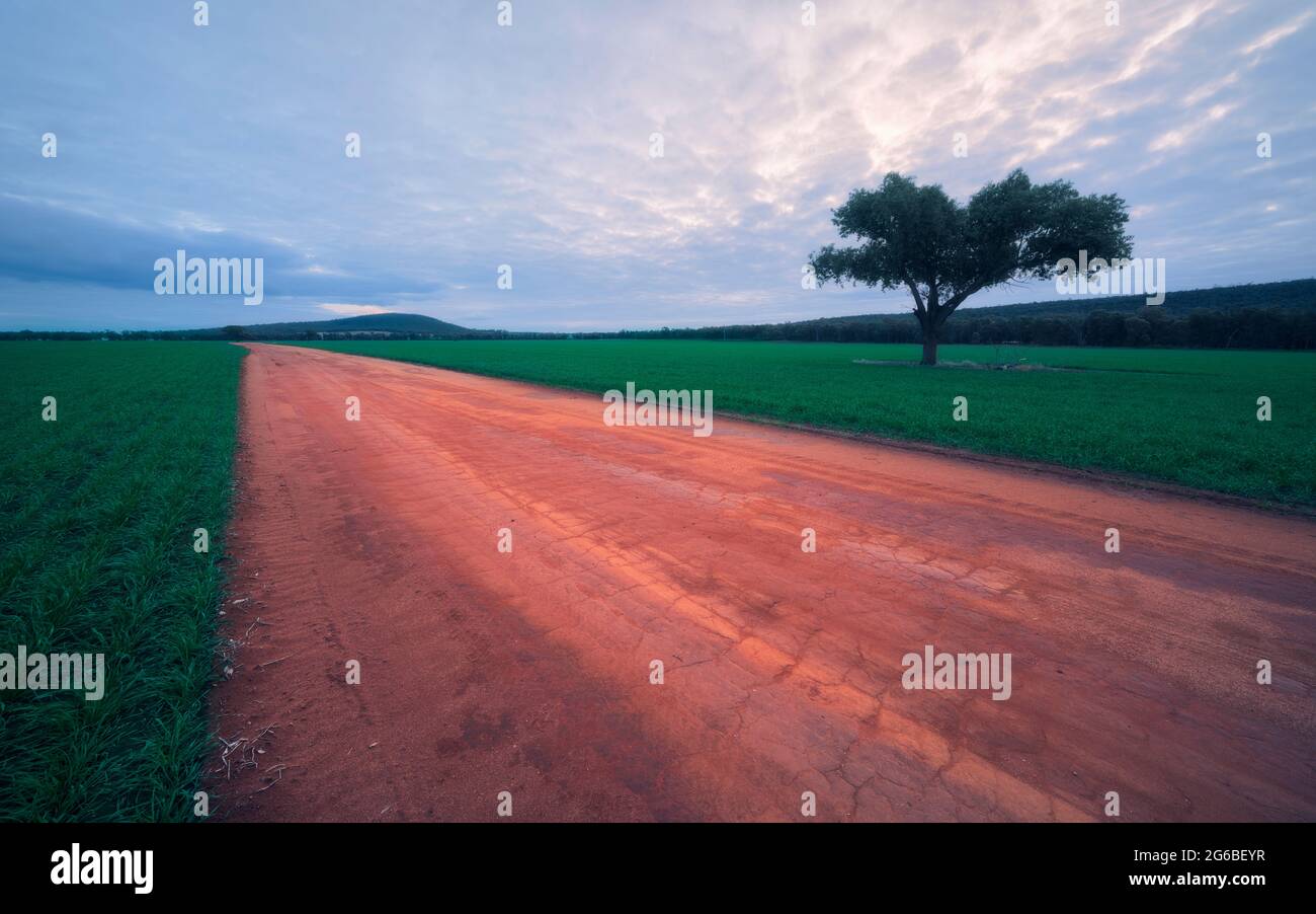 Unbefestigte Straße durch ländliche Landschaft, Australien Stockfoto