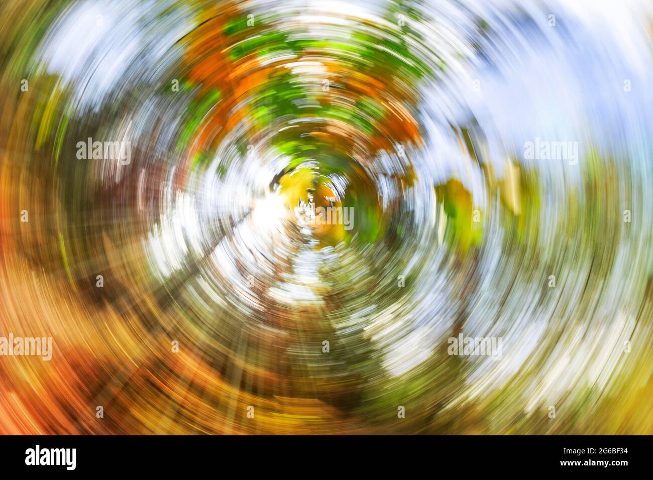 Herbst Ahorn Blätter in radialer Bewegung Stockfoto