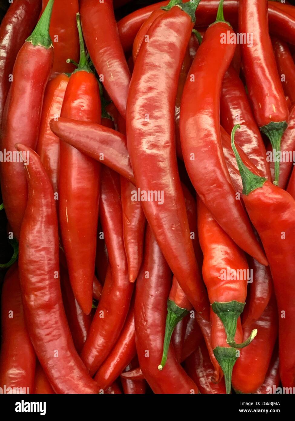 Viele reife rote Chilischoten zum Essen als Hintergrund Stockfoto