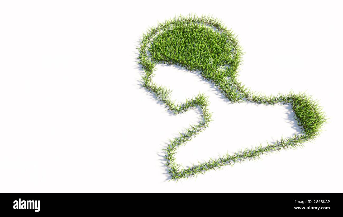 Konzept oder konzeptuelle grüne Sommer Rasen Gras Symbol Form isoliert auf weißem Hintergrund, Zeichen des menschlichen Gehirns. Eine 3d-Illustration Metapher für die Wissenschaft Stockfoto