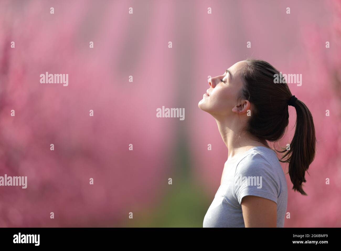 Seitenansicht Porträt einer Läuferin, die nach dem Sport in einem rosa Feld frische Luft atmet Stockfoto