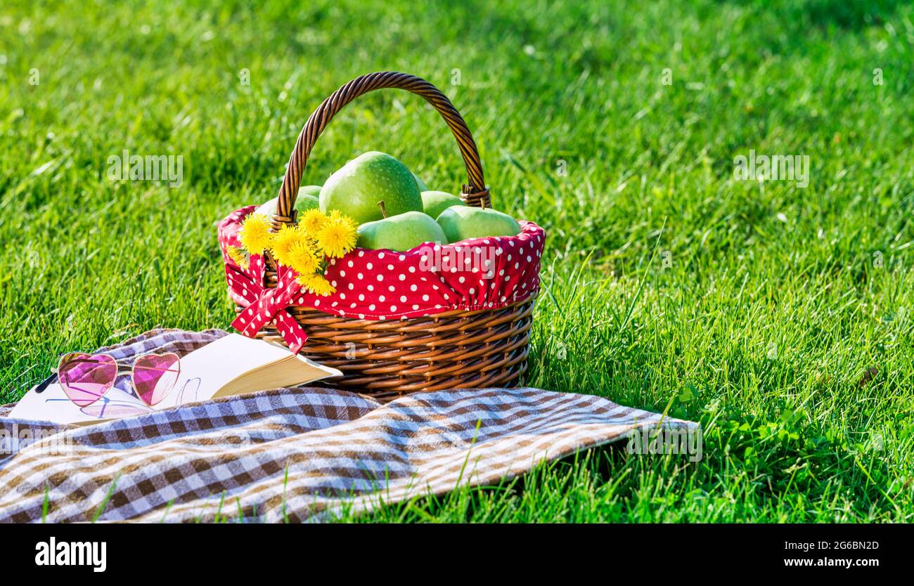 Picknicktisch mit karierten Tischtuch und Picknickkorb abgedeckt Stockfoto