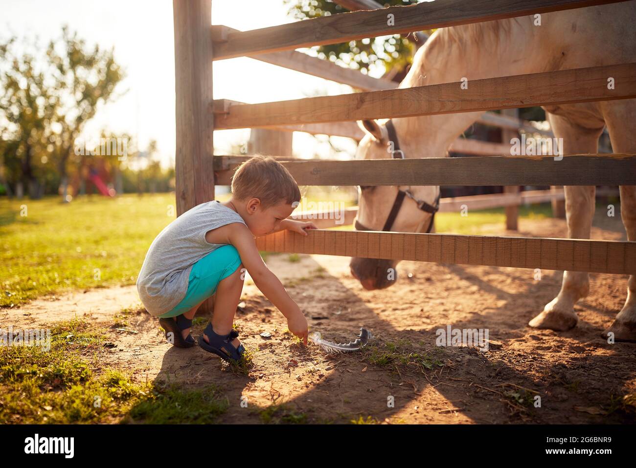 Ein kleiner Junge, der bei schönem Wetter mit einem Pferd auf dem Bauernhof spielt. Bauernhof, Land, Sommer Stockfoto