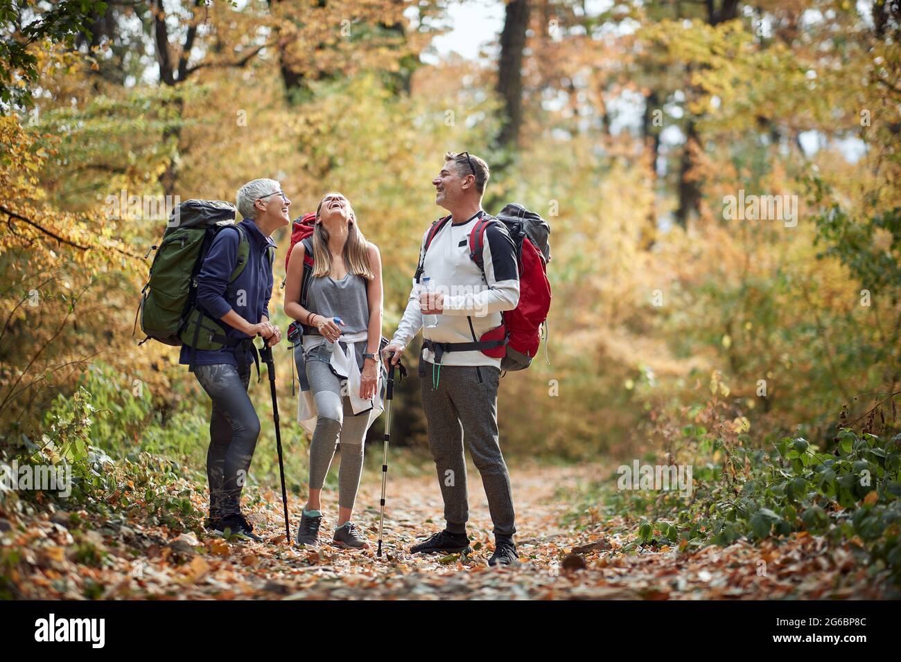 Freunde, die eine gute Zeit bei einer Pause beim Wandern durch den Wald haben Stockfoto