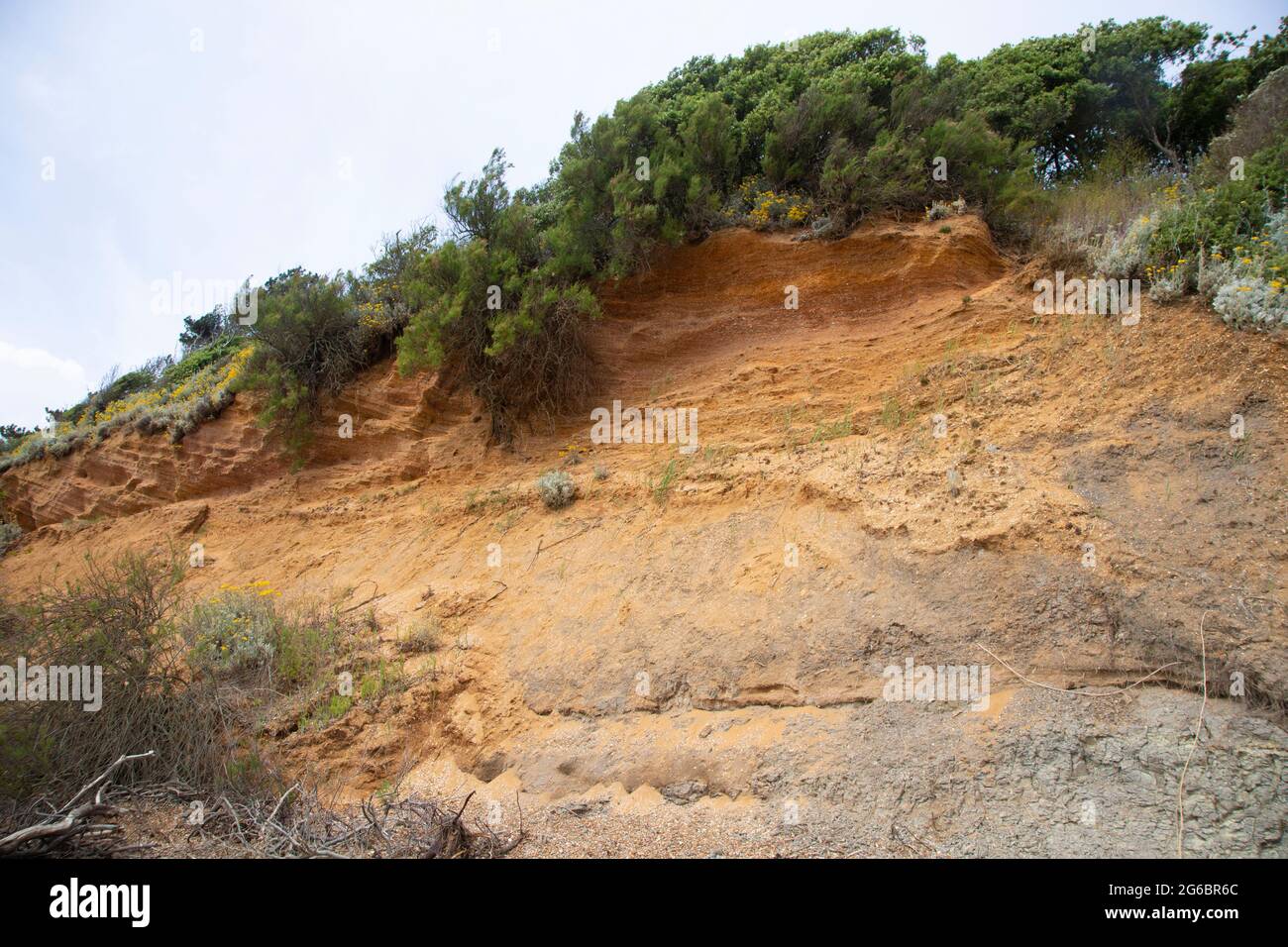 Küstenerosion weiche zerbröckelnde Klippen an der Nordseeküste bei Bawdsey, Suffolk, England, Großbritannien Stockfoto