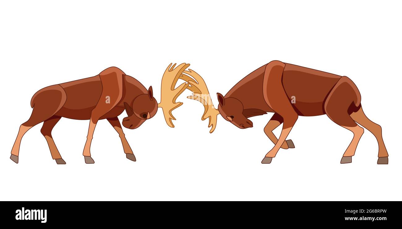Zwei Elche oder Elche kämpfen. Wildtierszene. Cartoon Charakter Vektor flache Stil Illustration isoliert auf weißem Hintergrund Stock Vektor