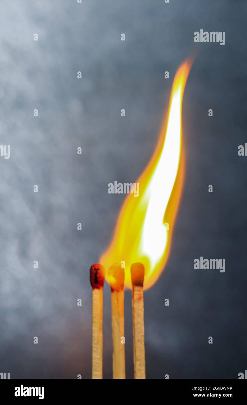 Ich liebe dich auf Match Sticks. Die Matchstick-Kunstfotografie verwendete Matchsticks, um ein Liebeskonzept zu schaffen. Nahaufnahme verbrannter Streichhölzer. Stockfoto