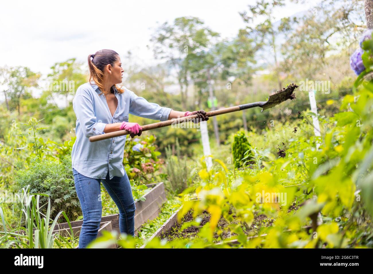 Junge Latina Frau schaufelt Schmutz im Garten. Stockfoto