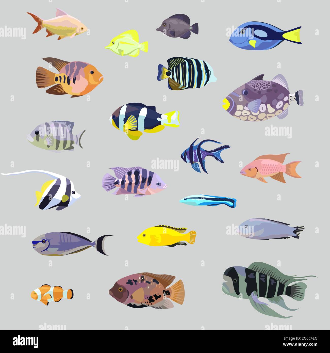 Großer Satz von isolierten realistischen tropischen Meer Korallen Aquarium Fische. Stock Vektor