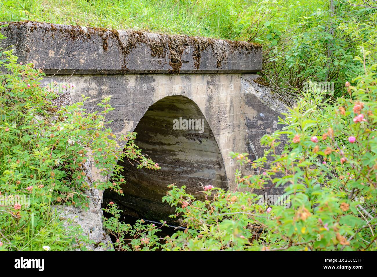 Eine alte Brücke oder ein Aquädukt, überwuchert von Büschen. Nur oberer Teil sichtbar, Rest durch Vegetation verdeckt. Stockfoto