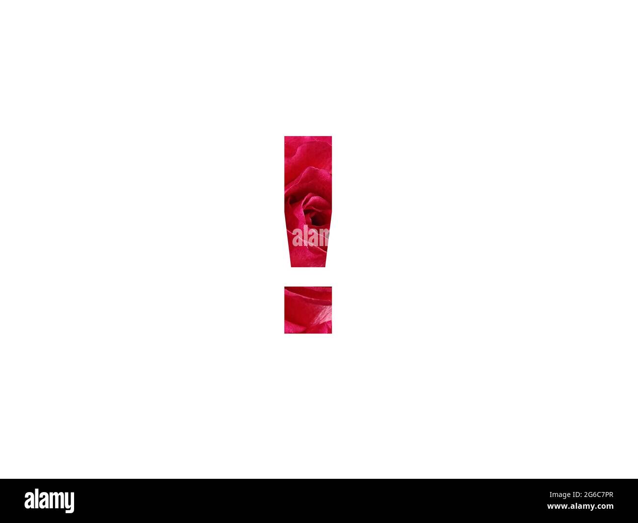 Ausrufezeichen des Alphabets mit einem Foto einer roten Rose, isoliert auf weißem Hintergrund Stockfoto