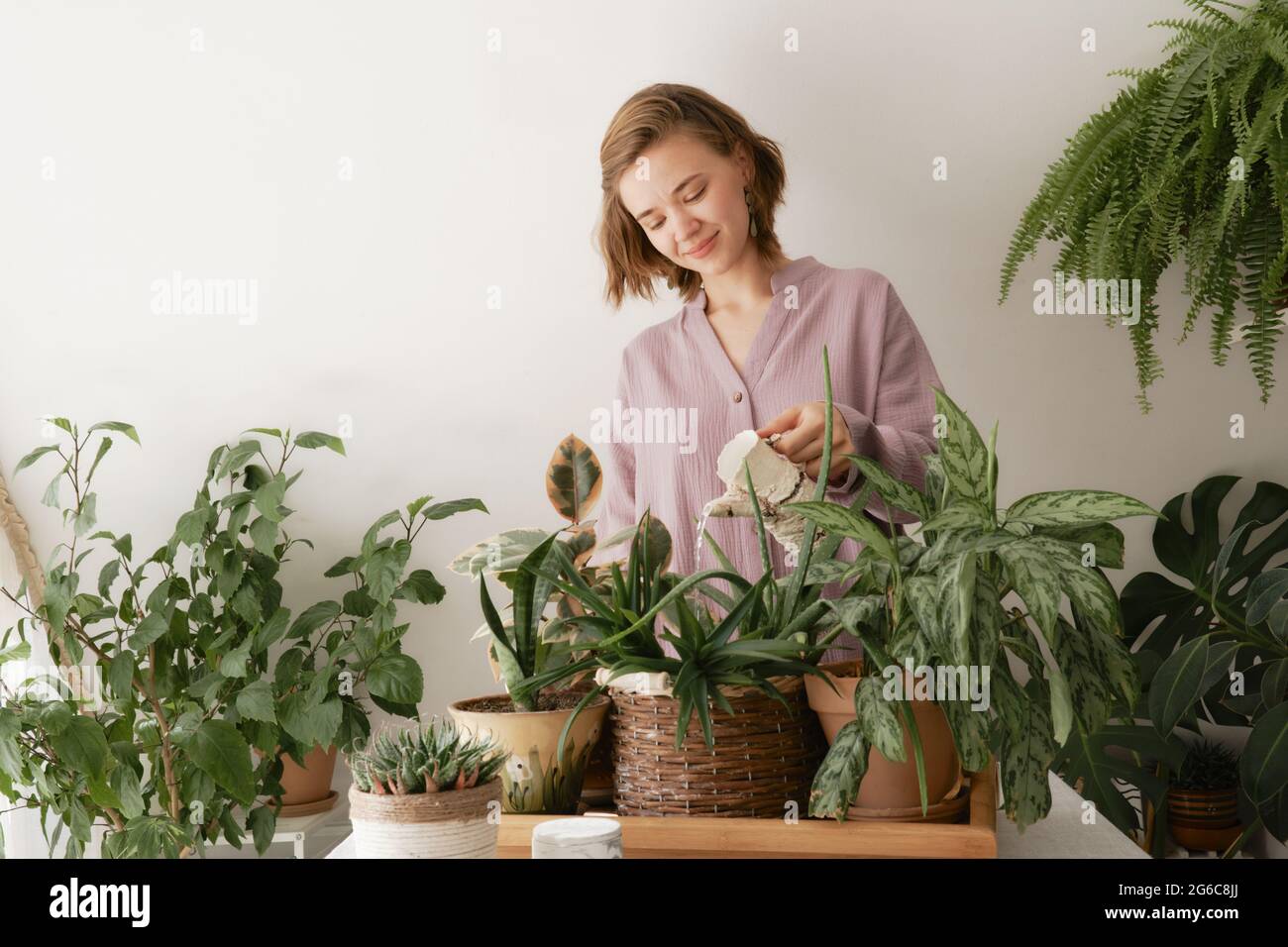 Nettes Mädchen Bewässerung schönen Indoor-grünen Pflanzen wächst in verschiedenen Töpfen. Stockfoto