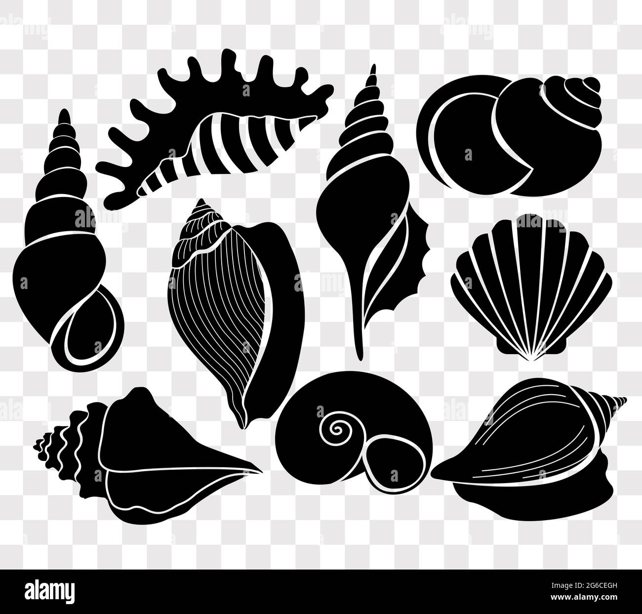 Vektor-Illustration Set von schönen Muscheln schwarzen Silhouetten isoliert auf transparentem Hintergrund. Stock Vektor