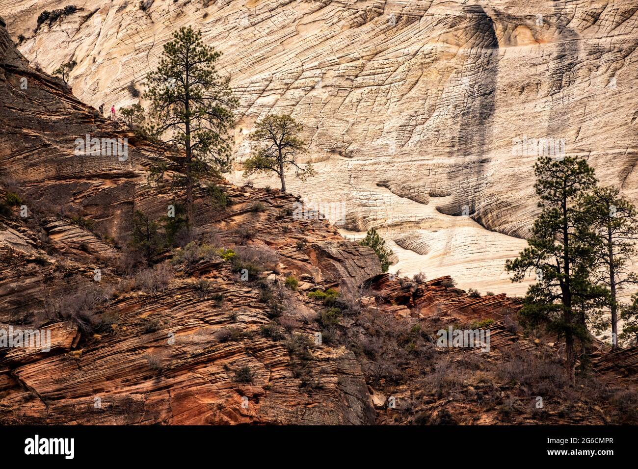 Zwei Wanderer, die von Angels Landing in Zion den Rücken hinunter kommen Stockfoto