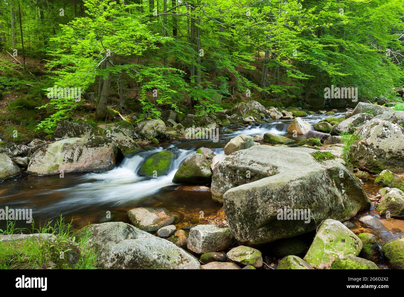 Kamienna Fluss in Szklarska Poręba, Karkonosze Gebirge, Polen Stockfoto